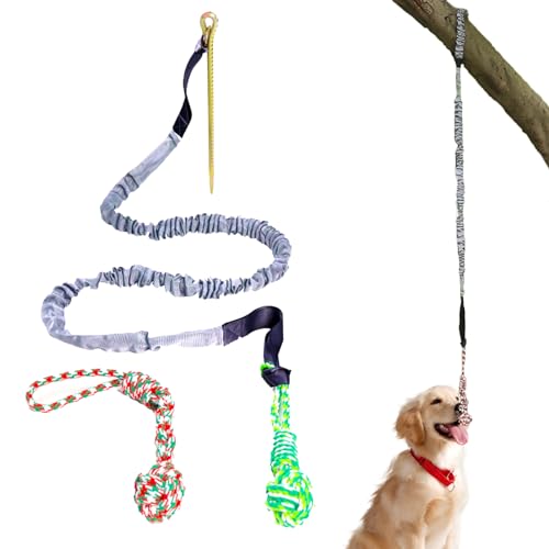 Tsuchiya Kauseil für Hunde - Robustes farbiges Spielzeug-Schleppseil | Unzerstörbares Welpen-Zahnspielzeug zu Kauen, Tauziehen, Zugseil für Hunde, Zahnreinigung, interaktives Seil von Tsuchiya