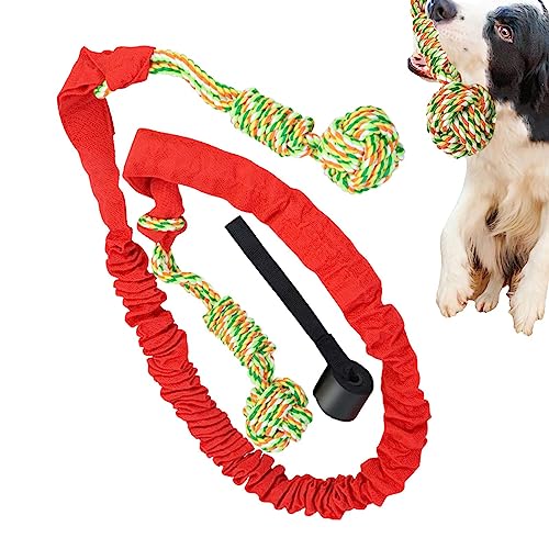 Tsuchiya Seilspielzeug für Aggressive Kauer - Robustes Seilspielzeug für Hunde,Unzerstörbares Hundeseilspielzeug, Robustes, interaktives Hundespielzeug für Hunde, mittlerer und großer Rassen, Zubehör von Tsuchiya