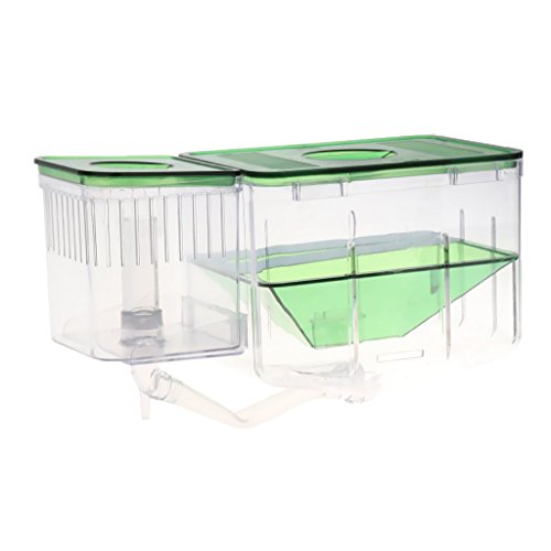 Tubayia Aquarium Fisch Züchter Box Zuchttank Zuchtbox Ablaichkasten Isolation Box für Aquarien Fisch Tank von Tubayia