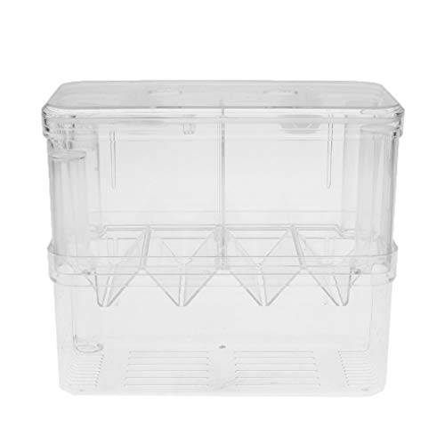 Tubayia Aquarium Züchter Box Fisch Zucht Inkubator Isolation Box Ablaichkasten mit Saugnapf von Tubayia