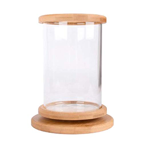 Tubayia Drehbar Mini Aquarium Glas Aquarien Fischbecken für Haus, Büro Tischdeko von Tubayia