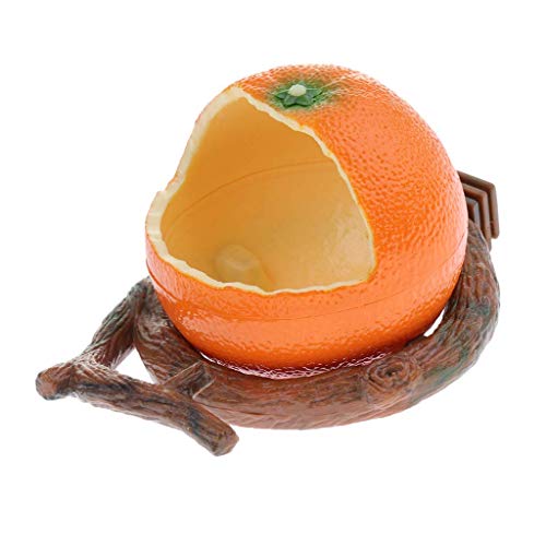 Tubayia Simulation Obst Vogelnapf Futter Schüssel Wasserschale für Vögel, Papagei, Wellensittiche, Nymphensittiche (Orange) von Tubayia