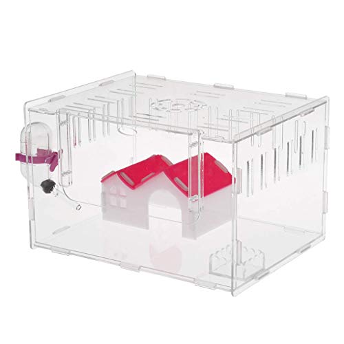 Tubayia Transparent Acryl Hamsterkäfig Nagerkäfig Hamsterhaus mit Wasserflasche für Hamster, Chinchilla, Meerschweinchen (L) von Tubayia