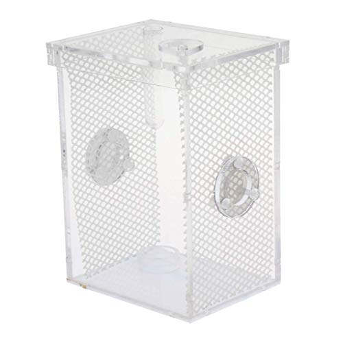 Tubayia Transparent Acryl Terrarium Zuchtbox Zuchtkasten für Reptilien und Insekten (L) von Tubayia