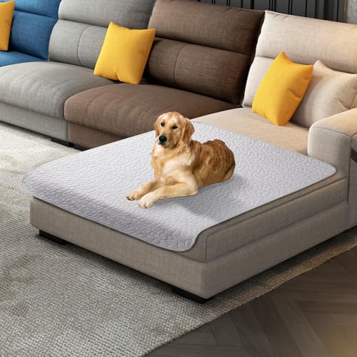 Tuffeel Wasserdichte Hundedecke, rutschfester Haustier-Couchbezug für Sofa, Bettmöbel, Schutz vor Hunden, waschbar, 40 x 50, Hellgrau von Tuffeel