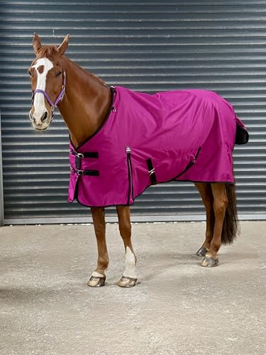 Turner Equestrian Pferdedecke, 600D, leicht, wasserdicht, tiefe Himbeere, 100 g Füllung, 1,27 m Standard, Himbeerfarben Turner Equestrian Pferdedecke, 600D, leicht, wasserdicht, tiefe Himbeere, 100 g Füllung, 1,27 m Standard, Himbeerfarben von Turner Equestrian