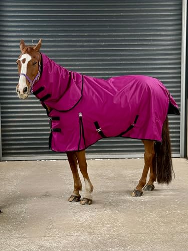 Turner Equestrian Pferdedecke, 600D, leicht, wasserdicht, tiefe Himbeere, 100 g Füllung, 2,1 m mit abnehmbarem Hals Turner Equestrian Pferdedecke, 600D, leicht, wasserdicht, tiefe Himbeere, 100 g Füllung, 2,1 m mit abnehmbarem Hals von Turner Equestrian