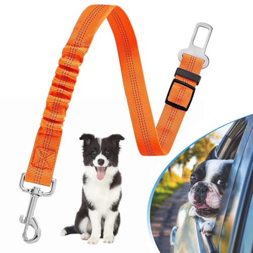 Verstellbarer elastischer Sicherheitsgurt für Hunde, Haustier-Sicherheitsgurt mit Hakenverschluss und Sicherheitsgurtschnalle, bequemer Luftfahrt-Aluminium-Karabiner, Nylon, Hunde-Sicherheitsgurt von TuseRxln