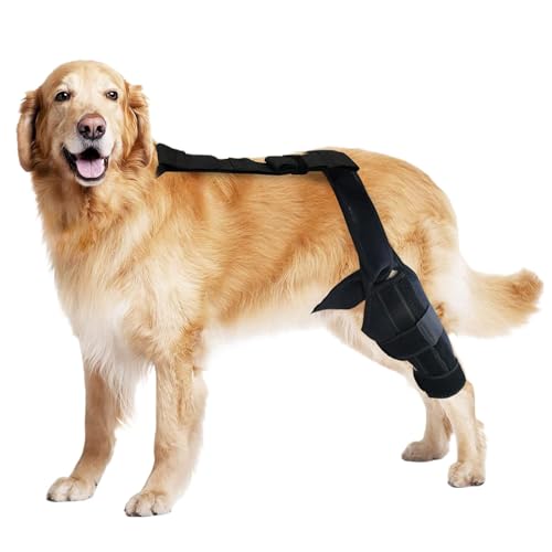 Tuxxjzm Hinterbeinbandagen für kleine Hunde, ACL-Kniebandage, Hinterbeinstabilisator für kleine Hunde, Neopren-Hüftbandage mit verstellbarem Traktionsgurt für Kreuzbandverletzungen, Gelenke von Tuxxjzm