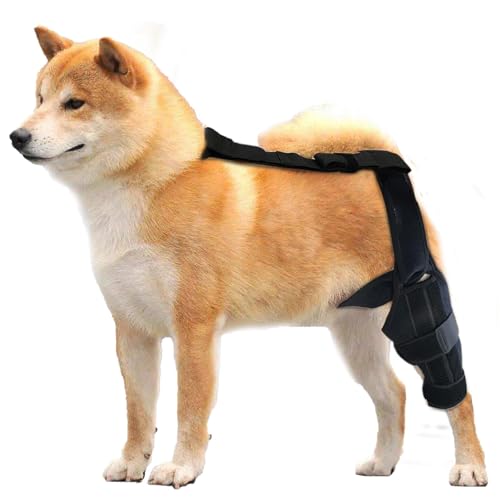 Tuxxjzm Hunde-Kniebandage, ACL-Kniebandage, Hinterbein-Stabilisator für kleine Hunde, Neopren-Hüftbandage mit verstellbarem Traktionsgurt für Kreuzbandverletzungen, Gelenke von Tuxxjzm