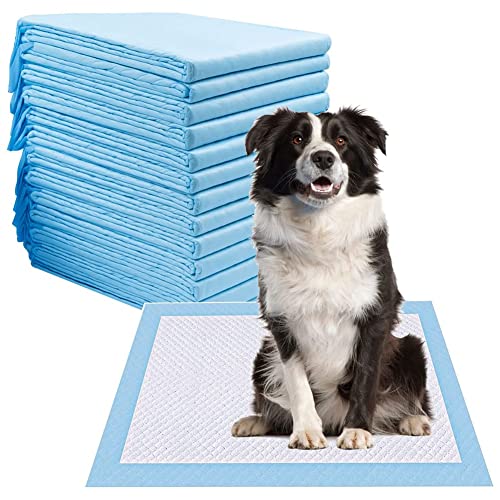 Tweovnai Hundeurin-Pads, Einweg-Pads für Hundetraining, stark absorbierende Bodenmatte, 61 x 61 cm (40 l) von Tweovnai