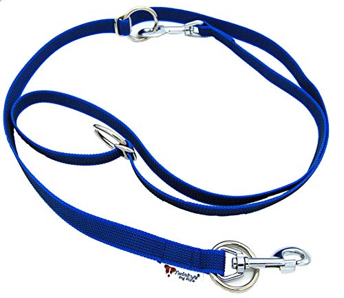 Individuell verstellbare Hunde Leine gummiert Breite 20mm Länge 2 Meter Doppelleine Blau Made in Germany von Twinkys