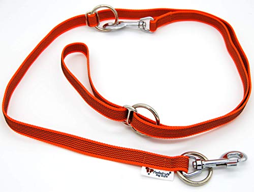 Individuell verstellbare Hunde Leine gummiert Breite 20mm Länge 2 Meter Doppelleine Orange Made in Germany von Twinkys