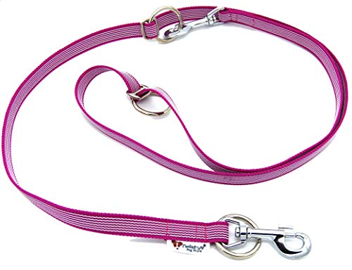 Individuell verstellbare Hunde Leine gummiert Breite 20mm Länge 2 Meter Doppelleine Pink Made in Germany von Twinkys