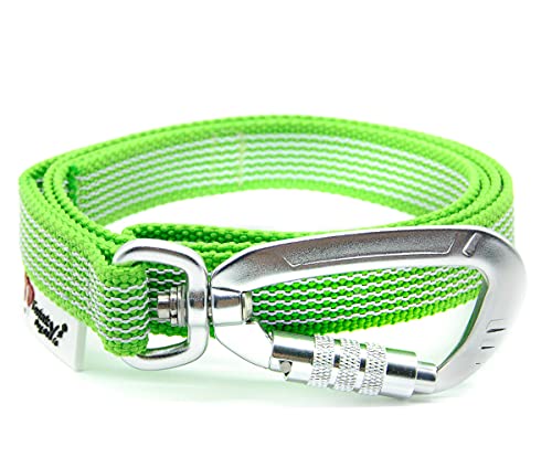 Twinkys Dog Style Hundeleine gummiert mit Sicherheitskarabiner 20 mm breit für Hunde bis 50 kg - MIT Handschlaufe 1 Meter Neon Grün Made in Germany von Twinkys