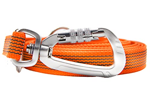 Twinkys Dog Style Dreifach verstellbare Hundeleine 20 mm breit gummiert mit Sicherheitskarabiner 3 Meter Orange von Twinkys