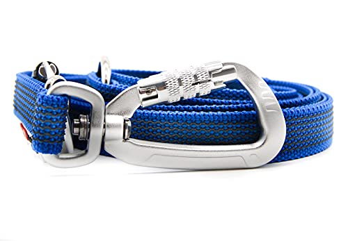 Twinkys Dog Style Verstellbare Hundeleine gummiert 20 mm breit mit Sicherheitskarabiner 3 Meter Blau von Twinkys