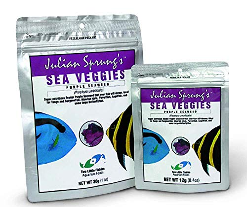 TWO LITTLE FISHIES atlsvps4 Sea Veg-Purple Seetang, 28,5 Tasche von Two Little Fishies