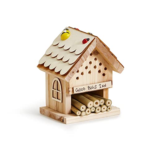 Two's Company 44004 DIY Bug Hotel in Geschenkbox von Two's Company