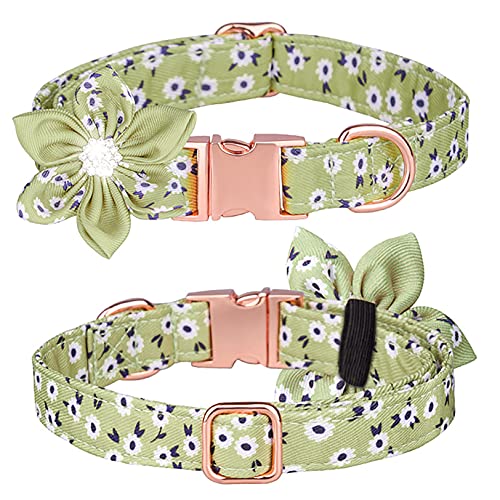 Tybiky Hundehalsband mit Schleife, Fliege Hundehalsband mit Verstellbare Halsbänder mit Softy Fliege Hundeseil (1.5m), Geschenk für kleine mittelgroße Groß und Katzen, L, Blütenblätt Cyan von Tybiky