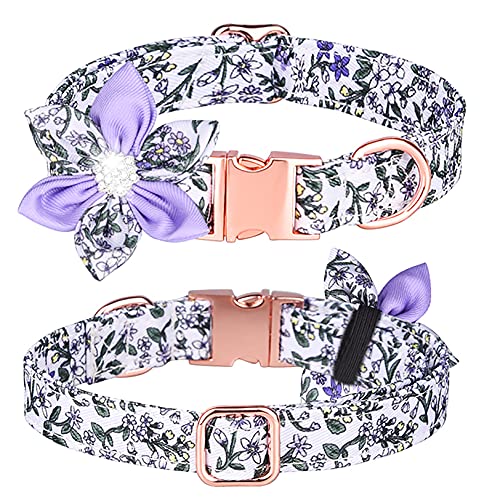 Tybiky Hundehalsband mit Schleife, Fliege Hundehalsband mit Verstellbare Halsbänder mit Softy Fliege Hundeseil (1.5m), Geschenk für kleine mittelgroße Groß und Katzen, L, Blütenblätt Lavender von Tybiky