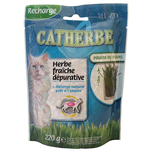 TYROL Nachfüllpack Catherbe, 220 g von Tyrol