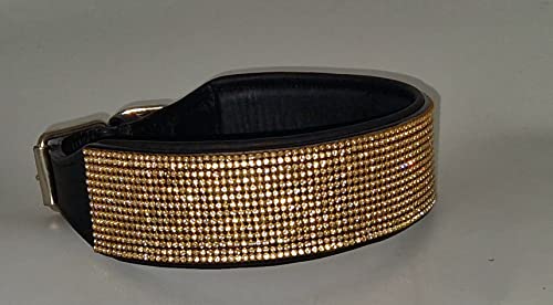 Hundehalsband Funky Gold Farben BREIT Hohe Zugkraft M L XL Stark Breit Glitzer Halsband Leder Lederhalsband (M 39-43) von Tysons Breeches