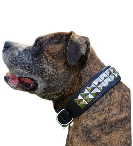 Hundehalsband Titan Lederhalsband Leder Schwarz Nieten Hohe Zugkraft Extra Breit Halsband Hund (L) von Tysons Breeches