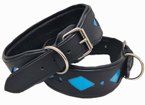 Salmi Hundehalsband HOHE ZUGKRAFT Schwarz Leder Schwarz M L XL Großer/Mittel Hund Breit Breites Halsband Hellblau/Türkis Tysons (XL) von Tysons Breeches