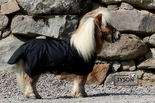 600 D Klett Schwarz Regendecke Decke Minipony Mini Shetty Weidedecke Falabella Fohlen Schwarz 65 70 75 80 cm Hier 75 cm von Tysons Breeches