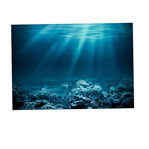 U/D 3D-Hintergrund für Aquarien, PVC, selbstklebend, 1 Stück von U/D