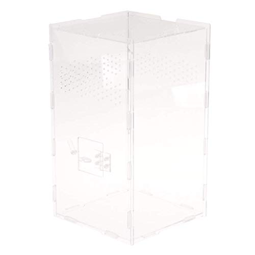 U/D Reptilien Terrarium Container Living Box Habitat für Spinne Skorpion Tausendfüßler Gecko von U/D