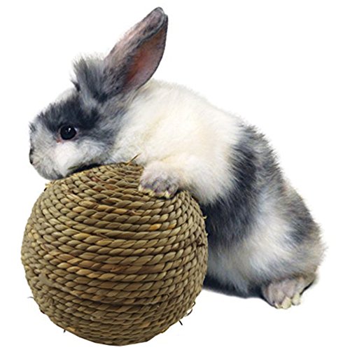 U-M Kauspielzeug für kleine Haustiere, natürlicher Grasball, Zahnreinigung, Schleifspielzeug für Kaninchen, Katzen, kleine Nagetiere, hervorragende Qualität von U-M