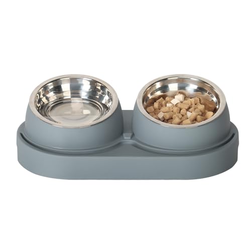 cat Feeder with von UBPET