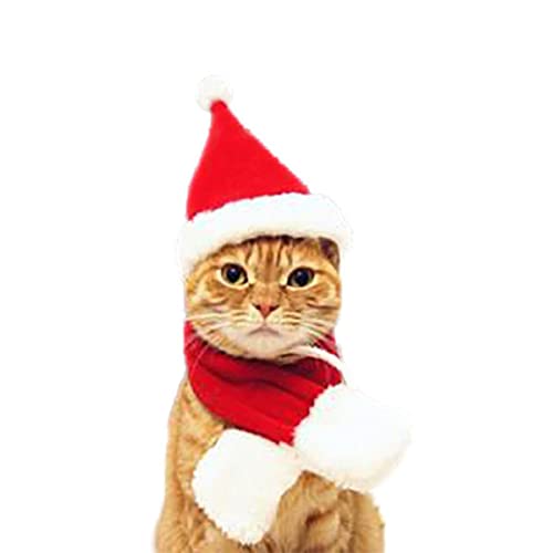 S/M/LGröße Weihnachten Halloween Pet Cloack Für Katze Hund Welpen Rote Kleidung Kostüme Schal Geschenk Neujahr Santa Pet Kostüm Winter von UBPJETN