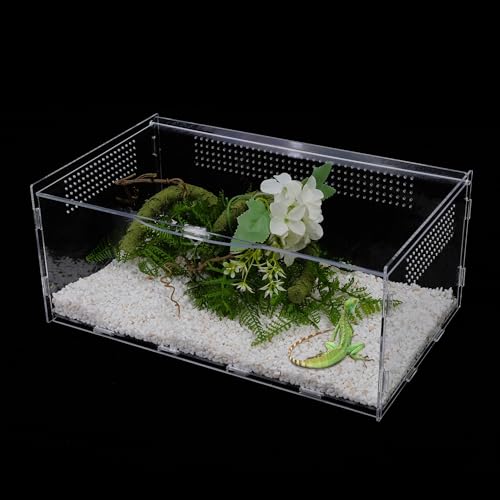 UCandy Reptilien-Terrariumgehege, 15,2 x 20,3 x 35,6 cm, transparenter Lebensraum für Reptilien-Terrarien mit Verriegelungsriegel, geeignet für Springspinnen, Vogelspinnen, kleine Baumbewohner, von UCandy