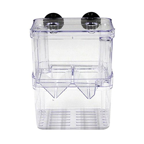 UEETEK Ablaichbehälter Ablaichkasten Fischzucht Isolation Box für Aquarium (klein) von UEETEK