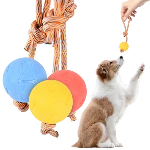 UEPOA 3 Stück Hundeball Mit Schnur, Elastische Hundespielzeug Ball mit Seil Weich Gummi Wurfball für Hunde Ball Hund 3 Farben für Haustiere Ausbildung Spielen Übung (5 cm) von UEPOA