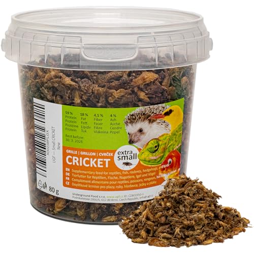 UGF - Getrocknete Kleine Grille 500ml Eimer (80g), Grillen Insekten, Vogelfutter Wildvögel Ganzjährig, Schildkröten Futter, Igelfutter, Eidechsenfutter, Fischfutter von UGF Underground Food