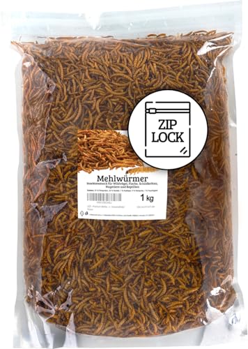 UGF - Premium Mehlwürmer 1kg, Druckverschlussbeutel, Insektensnack für Vögel, Hamster, Igel, Nagetiere, Eidechsen, Schildkröten - Universalfutter von UGF Underground Food