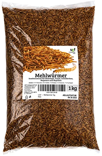 UGF - Premium Mehlwürmer 6,5 Liter - 1kg, Insektensnack für Vögel, Hamster, Igel, Nagetiere, Eidechsen, Schildkröten - Universalfutter von UGF Underground Food