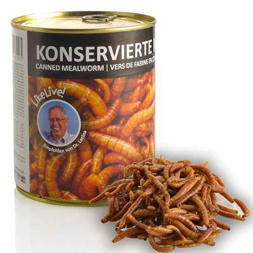 UGF – Saftige Konservierte Mehlwürmer, 490g, Vogelfutter Wildvögel Ganzjährig, Igelfutter, Eichhörnchen Futter, Hamster Futter von UGF Underground Food