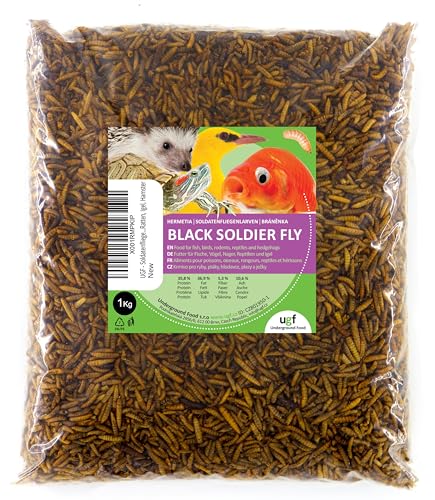 UGF - Soldatenfliegenlarven Hermetia (1 Kg) - 85-mal mehr Kalzium als lebende Mehlwürmer - BSFL Vogelfutter Wildvögel Ganzjährig, Futter für Schildkröten, Ratten, Igel, Hamster von UGF Underground Food