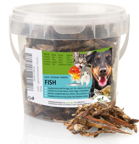 UGF Trockenfisch für Hunde, Hunde Leckerlis, 500ml Eimer (80g), Hundeleckerli Getreidefrei, Getrockneter Fisch, Hypoallergen, Diätetisch, Trainingsleckerli für Hunde, Kauartikel für Hunde von UGF Underground Food