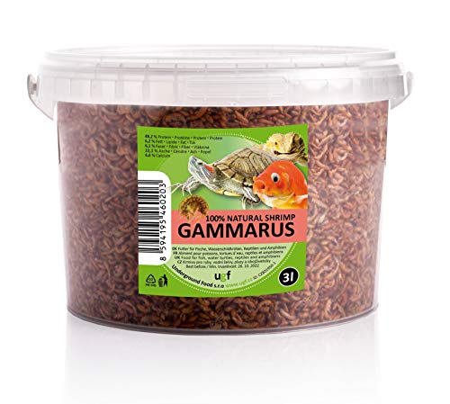 UGF - Premium Gammarus Bachflohkrebse Getrocknet, 3 Liter Eimer, Schildkrötenfutter, Fischfutter Aquarium, Axolotl Futter, Hamsterfutter, Igelfutter, Koi Futter, Rattenfutter von UGF Underground Food