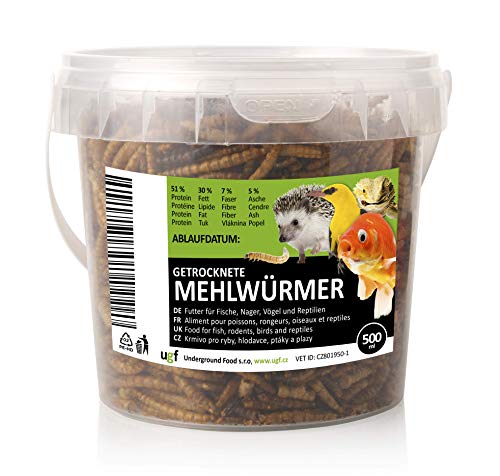 UGF - Premium Mehlwürmer getrocknet 500 Milliliter ≈ 80g Eimer, Insekten Snacks für Vögel, Hamster, Igel, Nager, Eidechsen, Schildkröten – ohne Konservierungsmittel und Farbstoff von UGF Underground Food