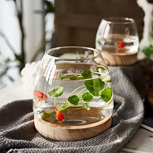 UIYIHIF Glas-Aquarium-Dekorationen, kleine Schreibtisch-Glas-Fischschale mit Holzsockel für Pflanze und Betta-Fische, klare Fisch-Zylinderschale für Büro, Heimdekoration von UIYIHIF