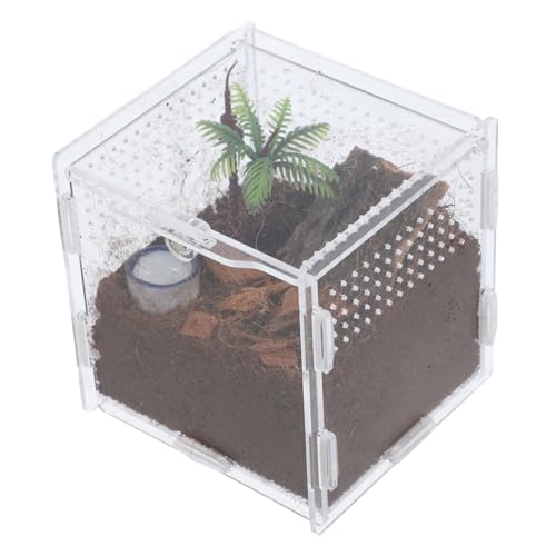 UKCOCO 1 Satz Springspinnen-zuchtbox Reptilien Zuchtbehälter Insektenbehälter Transparenter Springspinnenkäfig Lebensraumkäfig Für Insekten Reptilfall Spinnen-Terrarium Acryl von UKCOCO