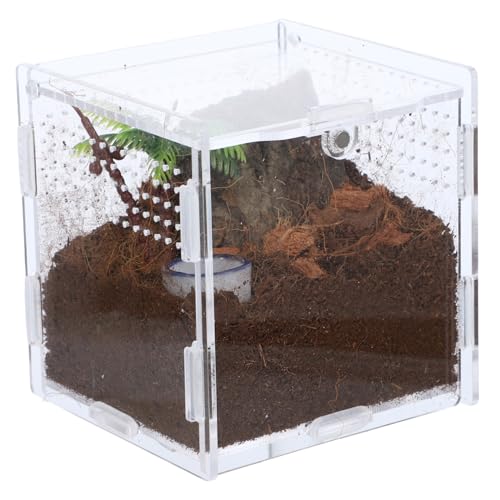 UKCOCO 1 Set Springspinnen Zuchtbox Reptilienkoffer Zuchtbehälter Insektenhabitatkoffer Insektenbehälter Spinnenterrarium Transparenter Springspinnenkäfig Insektenhabitatkäfig von UKCOCO