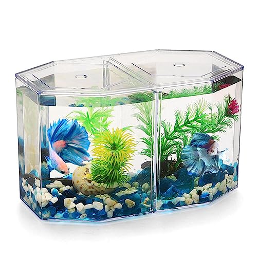 UKCOCO Betta kleines Aquarium: mit beweglichem Aquarium, transparent, zur Aufzucht von roten Fischen, Betta, 7,86 x 4,72 x 4,32 Zoll von UKCOCO